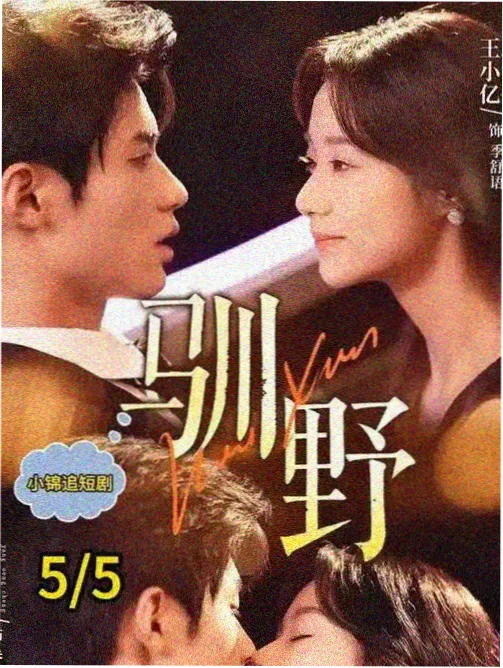 双面证人 犯罪法庭剧